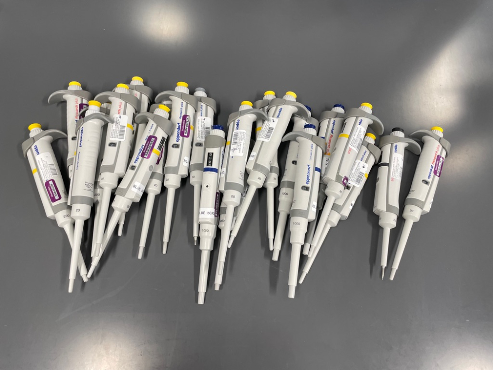 Image of Lot Of Eppendorf Research Plus Single Channel Pipettes